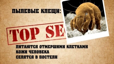 Избавляемся от мелких, очень мелких вредителей в подушках!