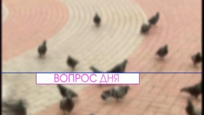 Как вы подготовились к модному сезону?